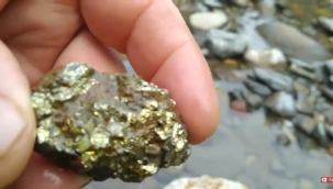 Manisa'da tonlarca altın bulundu… 