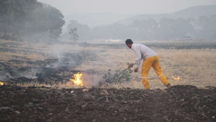 Manisa'daki orman yangınında 'sabotaj' şüphesi
