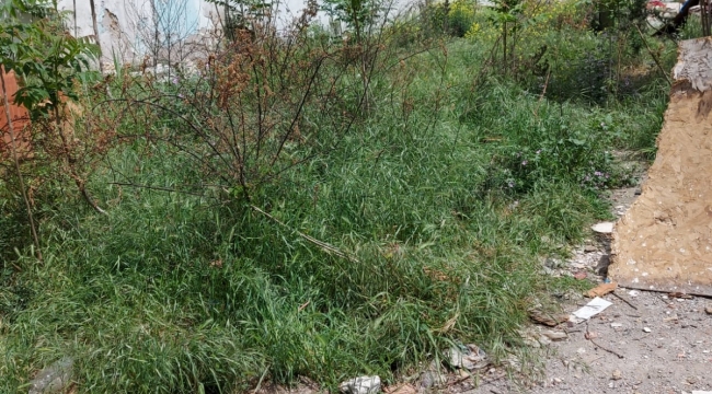 Şehrin göbeğinde çevre kirliliğine yol açan arsa