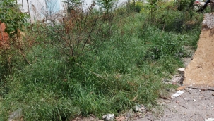 Şehrin göbeğinde çevre kirliliğine yol açan arsa