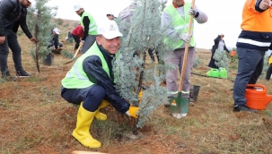 Turgutlu belediyesi'nden 723 çalışan adına TEMA'ya fidan bağışı