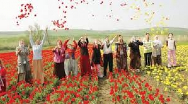 Türkiye'de yılın ilk 5 ayında 603 kooperatif kuruldu