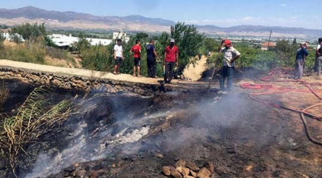 Alaşehir'de 10 dekar üzüm bağı ve zeytinlik yandı