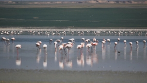 Buharlaşma ve kaçak sulama gölü kuruttu