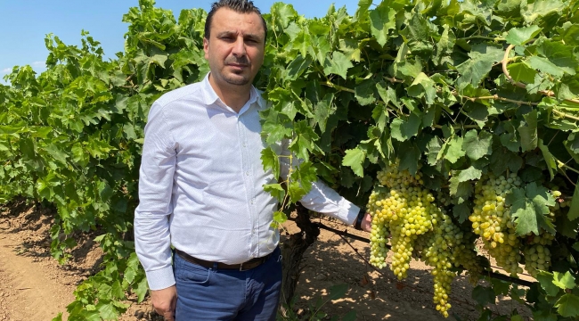 CHP'li Başvirgen "Üzüm fiyatı bu sene 17 TL'nin altında olmamalı''