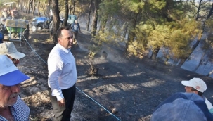 Dutlulu, yangın elbirliğiyle söndürüldü