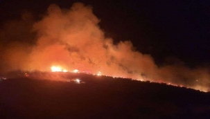 Manisa'nın Kula ilçesinde yangın