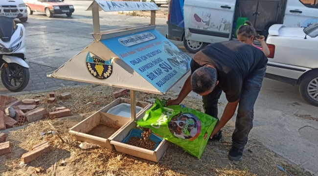 Turgutlu Belediyesinden can dostlara mama ve su desteği