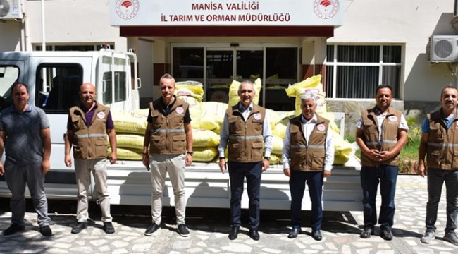 Zeytin sineğine karşı mücadelede Akhisar pilot ilçe 