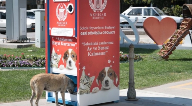 Akhisar'da sokak hayvanları 'Mamamatik' ile beslenecek