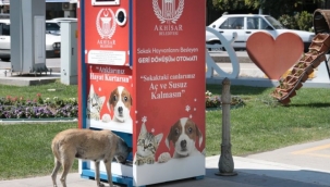 Akhisar'da sokak hayvanları 'Mamamatik' ile beslenecek