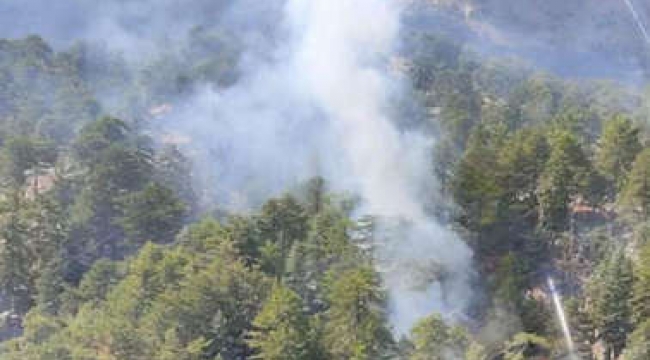 Antalya Manavgat'ta orman yangını