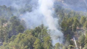 Antalya Manavgat'ta orman yangını