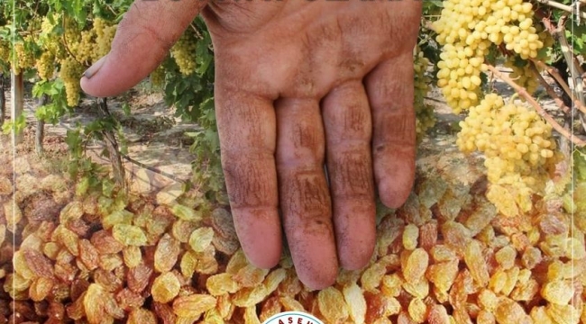 Başkan Öküzcüoğlu''Bu ellerin, bu emeğin hakkı bu fiyat olamaz''