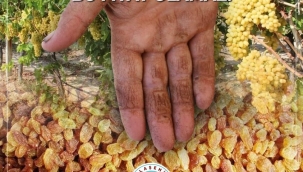 Başkan Öküzcüoğlu''Bu ellerin, bu emeğin hakkı bu fiyat olamaz''