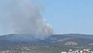 Bodrum ve Milas'ta orman yangını