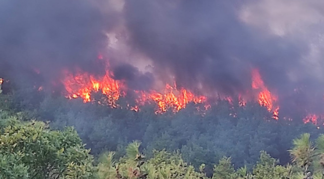 Çanakkale'de yangın