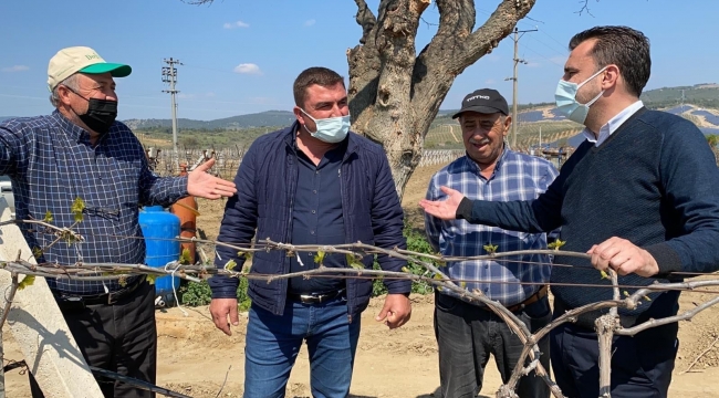 CHP'li Başevirgen, "Çiftçiye verilen destek elektrik parasını karşılamıyor"