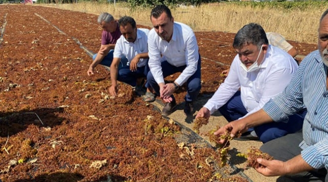 CHP'li Başevirgen'den TMO Müdürüne Tepki: "Fiyatı üretici mi belirliyor ki mutlu olsun"