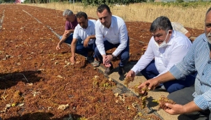 CHP'li Başevirgen'den TMO Müdürüne Tepki: "Fiyatı üretici mi belirliyor ki mutlu olsun"