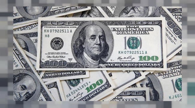 Dolar rekor tazeledi