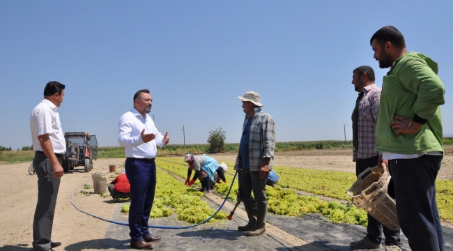 Eryılmaz'dan, Cumhur İttifakı'na üzüm fiyat çağrısı