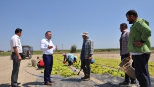 Eryılmaz'dan, Cumhur İttifakı'na üzüm fiyat çağrısı