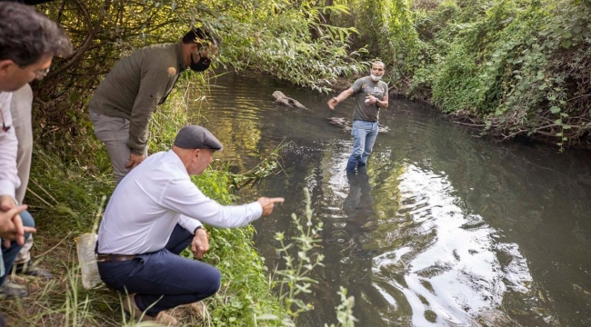 Gediz nehrinin kirliliği belgelendi