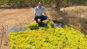 Pakdemirli'ye tepki gösteren CHP'li Başevirgen'Üzüm üreticisini perişan etti'