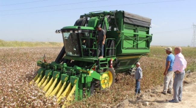 Salihli'de pamuk hasadı başladı