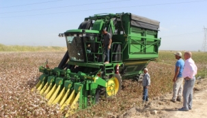 Salihli'de pamuk hasadı başladı