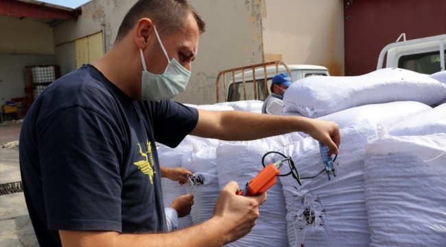 TMO üzüm alımlarına başladı