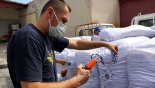 TMO üzüm alımlarına başladı