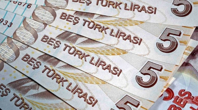 Yeni dönem: 20 TL ve 5 TL'lik banknotlar piyasada