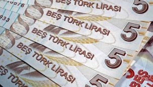 Yeni dönem: 20 TL ve 5 TL'lik banknotlar piyasada
