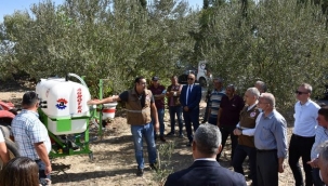 Zeytin sineğine karşı doğa dostu mücadele
