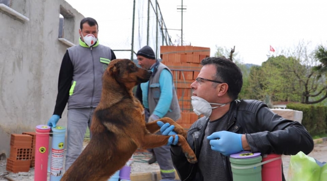 4 Ekim dünya hayvanları koruma günü