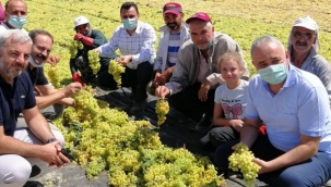 Bakırlıoğlu' çiftçi hak ettiğini alamıyor'