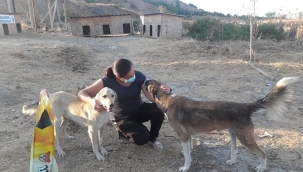 CHP'li kadınlar 'onlar mal değil, candır' 