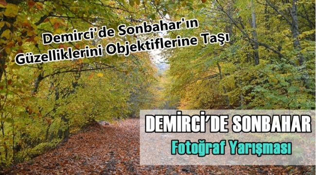 Dereceye girecek fotoğraflar halk oylamasıyla seçilecek