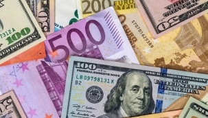 Doların ateşi biraz düştü