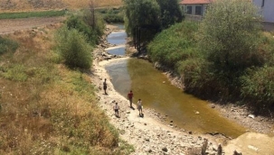Gediz nehri kuruyor