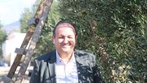 İyi Partili Köse zeytinin erkenci hasatında