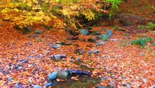 Kazdağılarında muhteşem sonbahar
