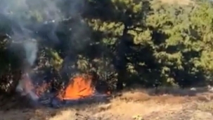 Ödemiş'te orman yangını