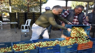 Öztürk "Ölümsüzlük Meyvesi" hünnap hasadına katıldı