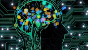 Türkiye'nin en zeki illeri belli oldu