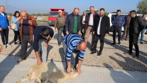 Yol sorununu bitiren başkanı esnaflar kurban keserek karşıladı