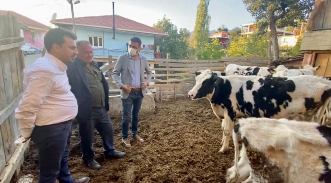  CHP'li Başevirge "3000 Euro'ya ithal edilen hayvanlar kesime gidiyor"