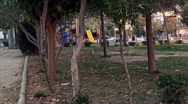 Manisa Turgutlu'da 4 kedi bacakları kesilerek vahşice öldürüldü